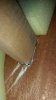 20180728_120541.jpg