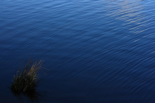 4467296003_fac8691e32.jpg