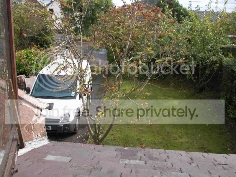 Picture2copy.jpg