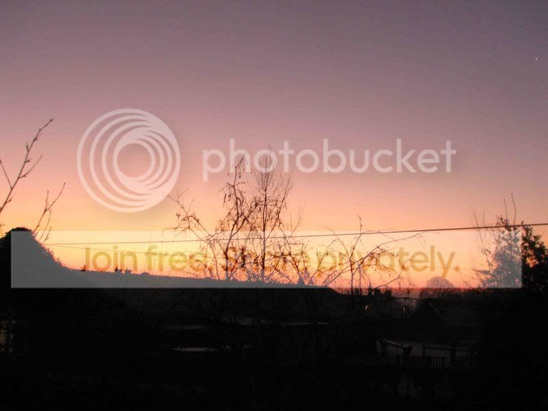 Picture2003copy-6.jpg