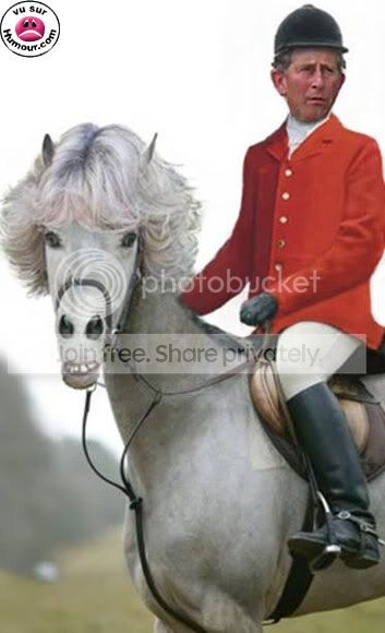charles_camilla.jpg