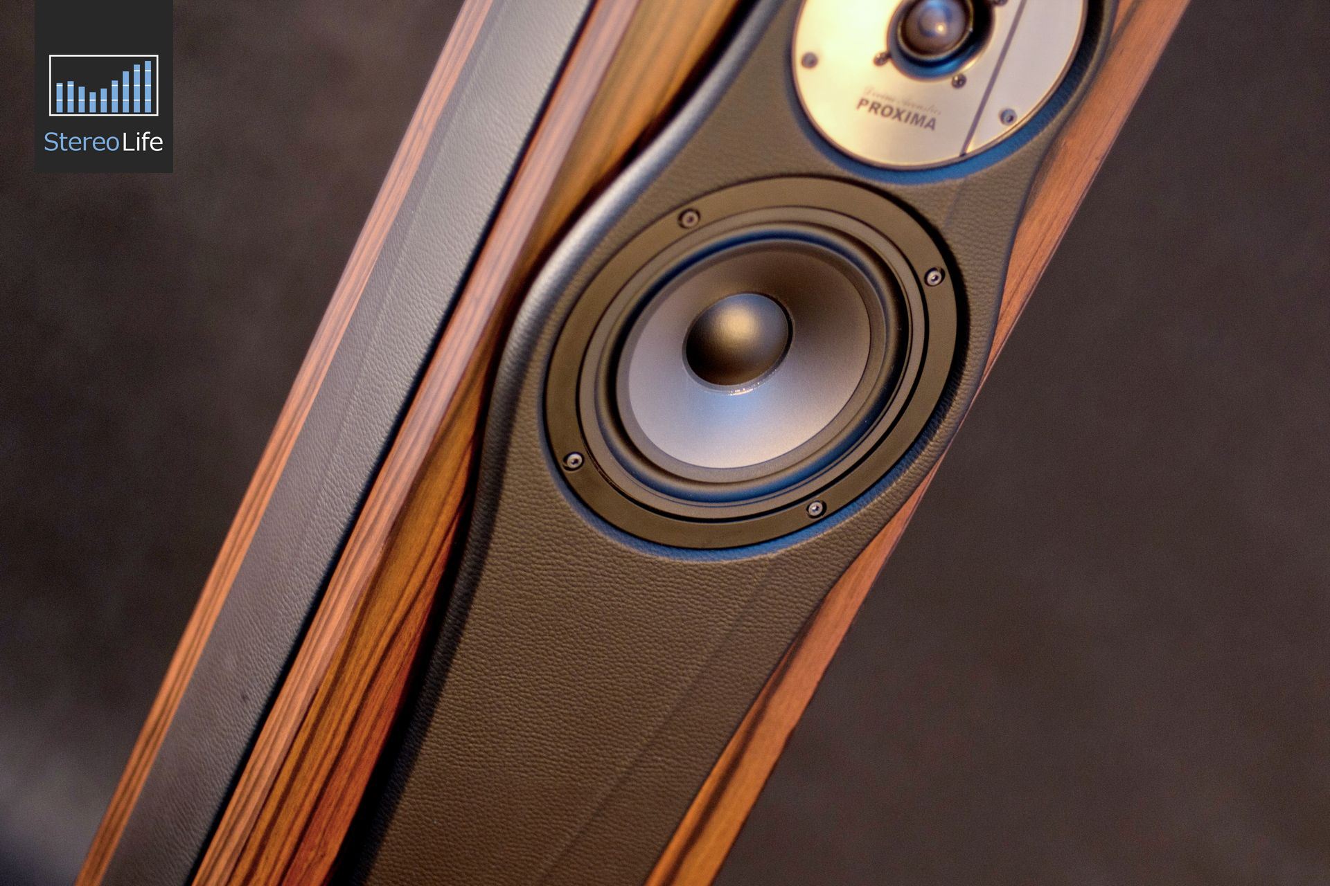 DivineAcousticsProxima-06.jpg