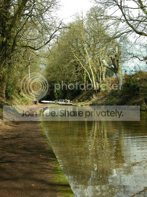 Picture2011copy-2.jpg