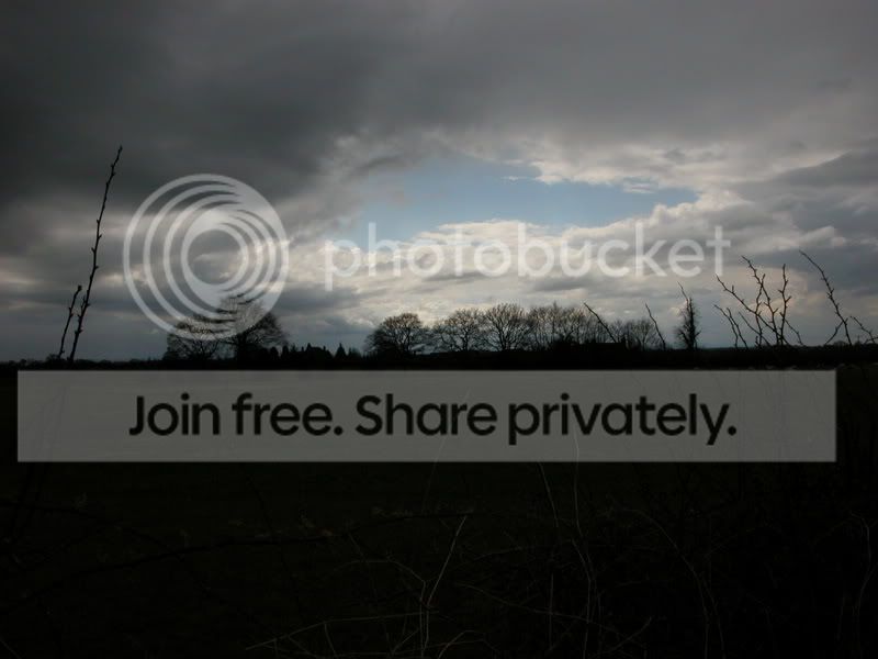 Picture2021-1.jpg